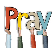 Group of Diverse People's Hands Holding Pray Concept